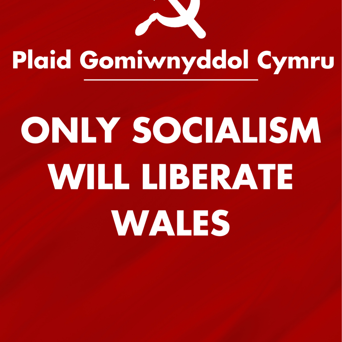 ‘Only Socialism Will Liberate Wales’&nbsp;Explained
